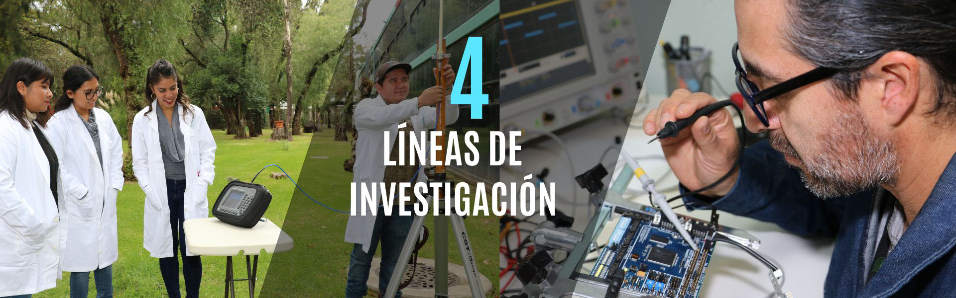 Líneas de investigación