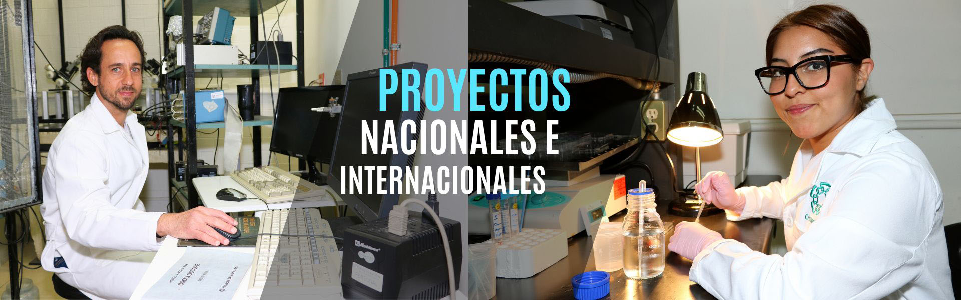 Proyectos