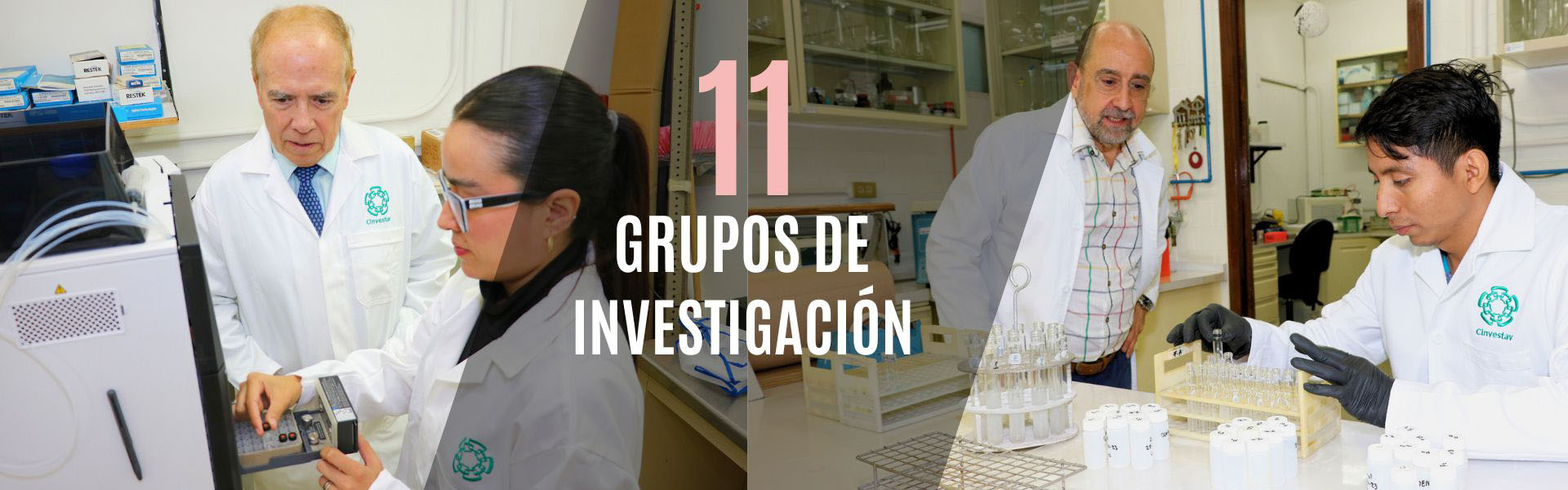 Grupos de investigacíón