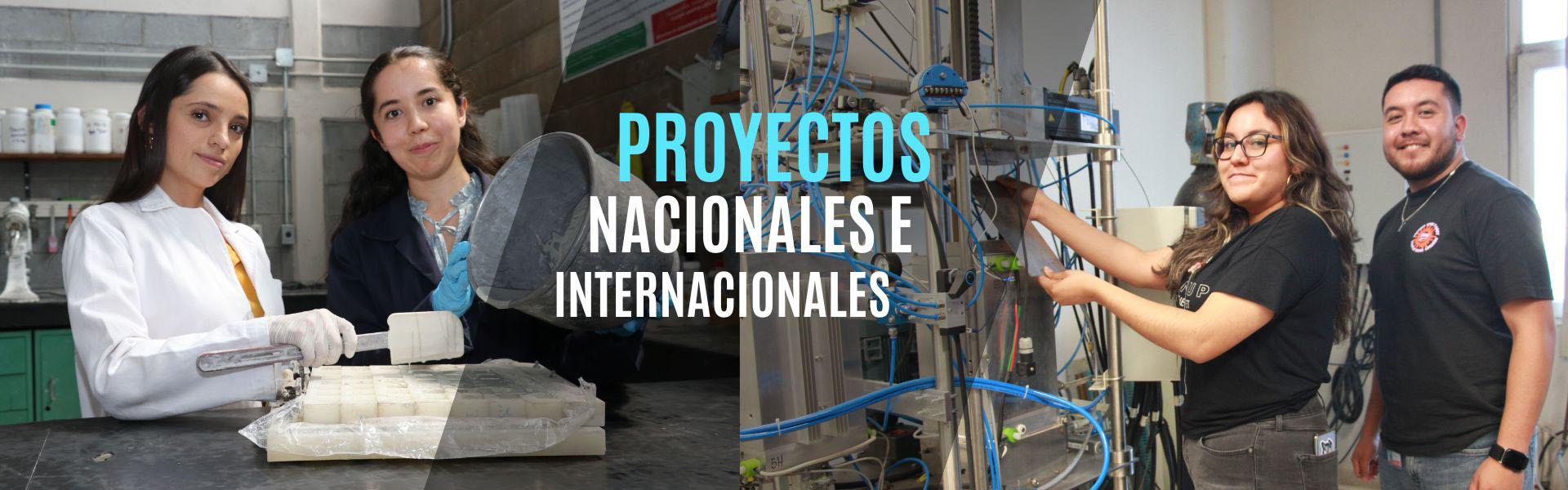 Proyectos