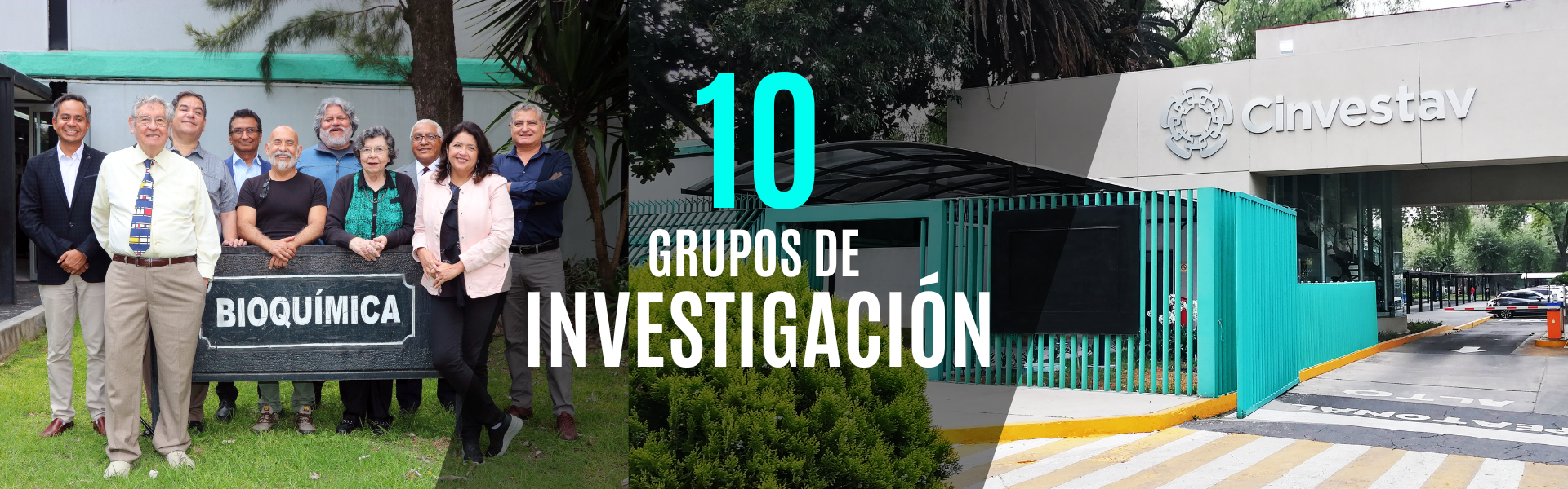 Grupos de investigación