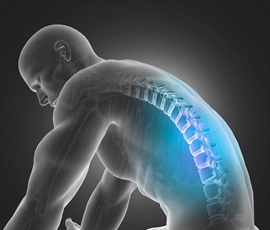 El microbioma y las espondiloartritis