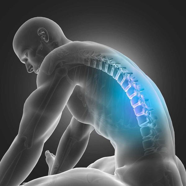 El microbioma y las espondiloartritis