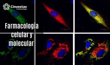 Farmacología celular y molecular