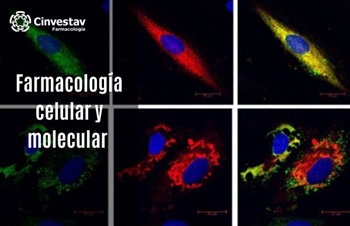 Farmacología celular y molecular