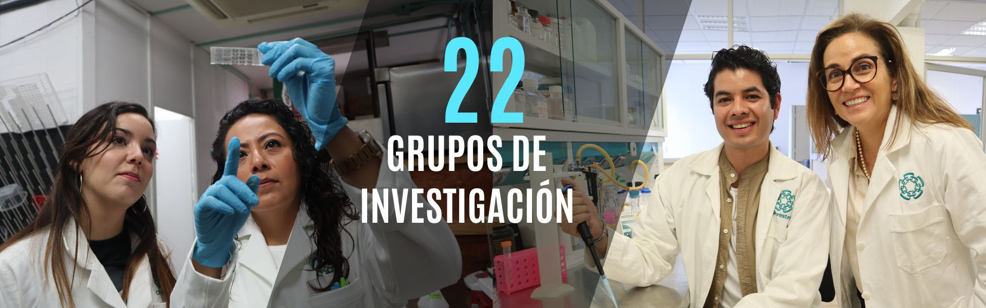 Grupos de Investigación