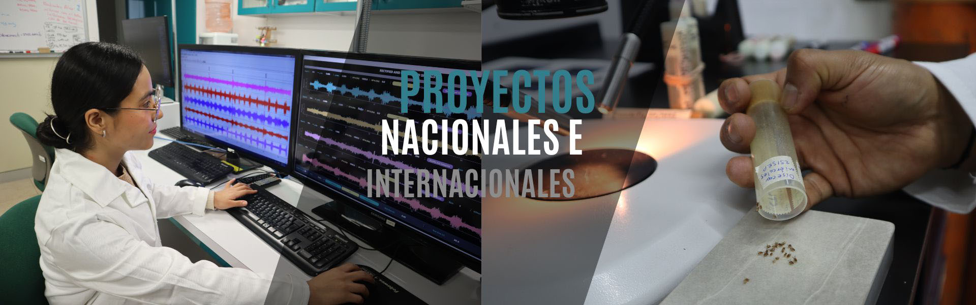 Proyectos