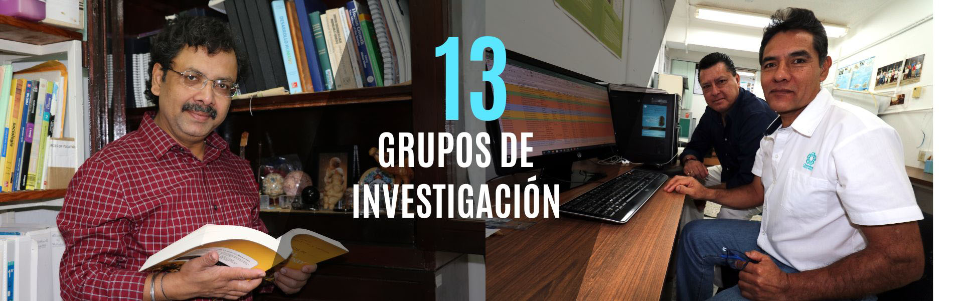 Grupos de Investigación