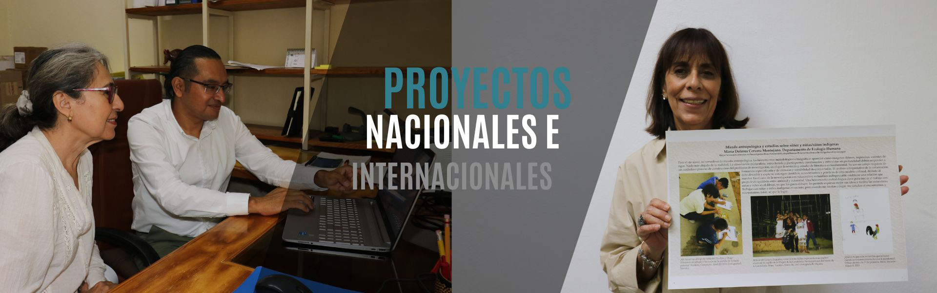 Proyectos