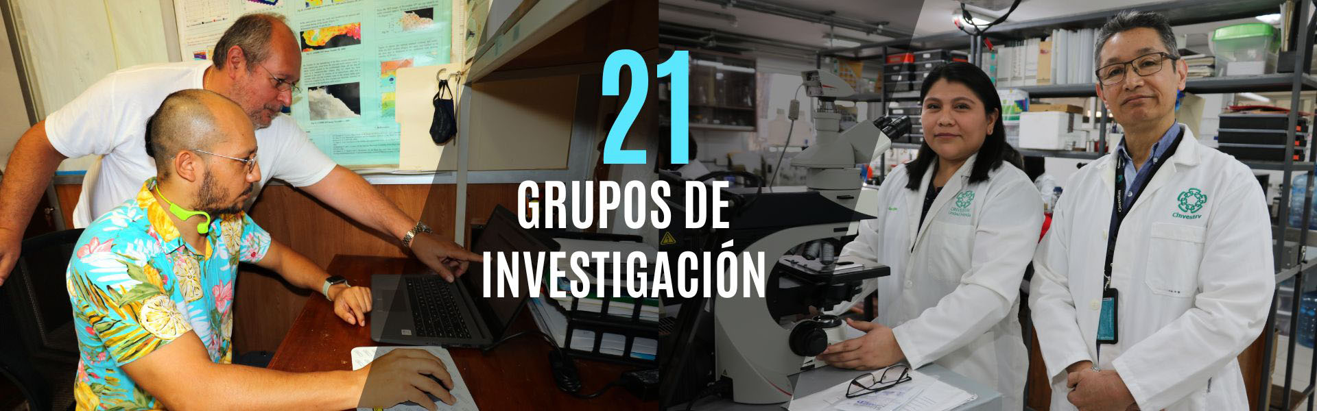 Grupos de investigación