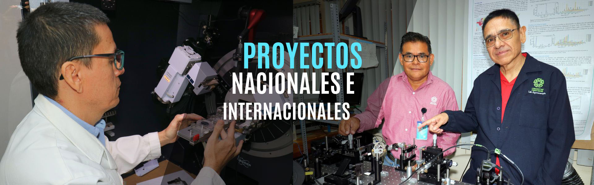 Banner-Proyectos