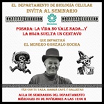 Seminario de profesor invitado