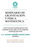 Seminario de Gravitación y Física Matemática