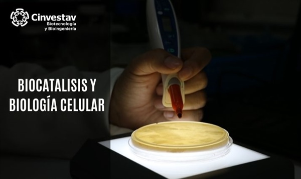 Biocatálisis y Biología Molecular