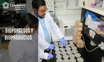 Bioprocesos y Bioproductos