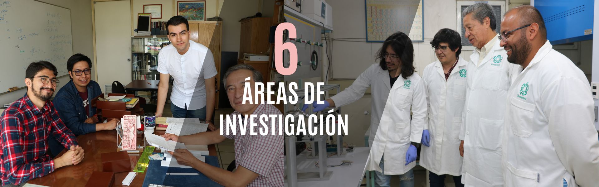 Áreas de Investigación