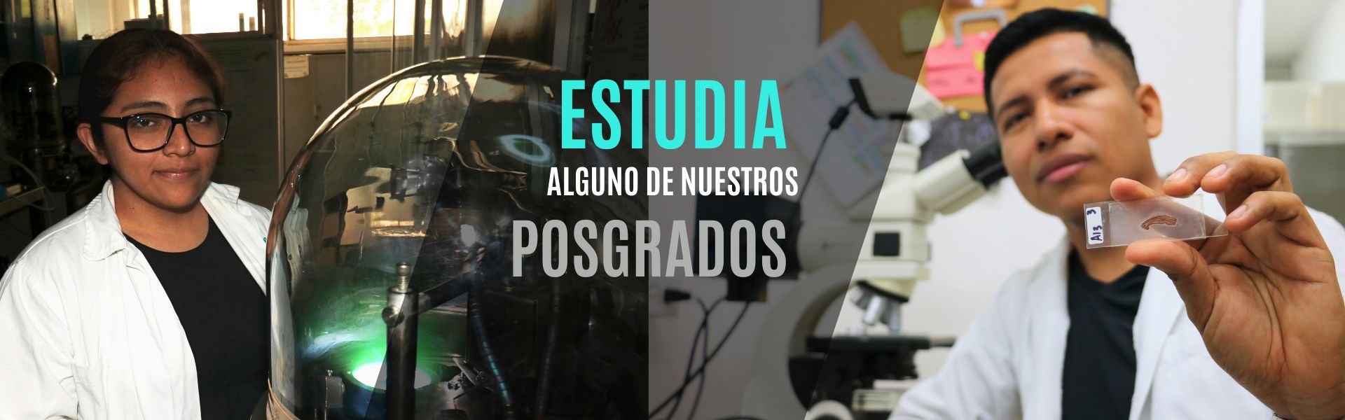 Posgrados