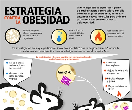 Estrategia contra la obesidad