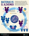 Bacterias vs el alzhéimer