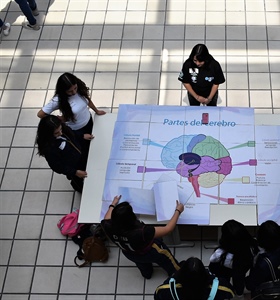 Cinvestav se suma a las actividades de la Semana Mundial del Cerebro 2023
