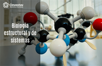 BIOLOGÍA ESTRUCTURAL Y DE SISTEMAS