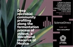 Deep microbial community profiling along the fermentation process of pulque a biocultural resource of Mexico