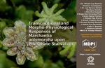 Transcriptional and Morpho-Physiological Responses of Marchantia polymorpha upon Phosphate Starvation