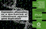 Expression attenuation as a mechanism of robustness against gene duplication
