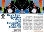 Cis and trans-regulatory variation in the domestication of the chili pepper fruit