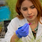 Biotecnología de plantas