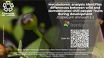 Metabolomic analysis identifies differences between wild and domesticated chili pepper fruits during development (Capsicum annuum L.)