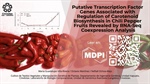 Putative Transcription Factor Genes Associated with Regulation of Carotenoid Biosynthesis in Chili Pepper Fruits Revealed by RNA-Seq Coexpression Analysis