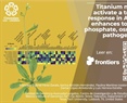 Titanium nanoparticles activate a transcriptional response in Arabidopsis that enhances tolerance to low phosphate, osmotic stress and pathogen infection