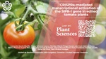 CRISPRa-mediated transcriptional activation of the SlPR-1 gene in edited tomato plants