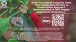Gene Functional Networks from Time Expression Profiles: A Constructive Approach Demonstrated in Chili Pepper (Capsicum annuum L.)