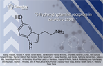 5-Hydroxytryptamine receptors in GtoPdb v.2023.1