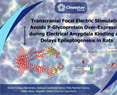 Luisa Rocha - Transcranial Focal Electric Stimulation Avoids P-Glycoprotein Over-Expression during Electrical Amygdala Kindling and Delays Epileptogenesis in Rats