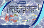 Transcranial Focal Electric Stimulation Avoids P-Glycoprotein Over-Expression during Electrical Amygdala Kindling and Delays Epileptogenesis in Rats