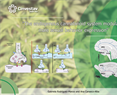 Gabriela Rodríguez Manzo - The endogenous cannabinoid system modulates male sexual behavior expression