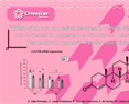 C. Lopez-Rubalcava - Effect of chronic unpredictable stress in female Wistar-Kyoto rats subjected to progesterone withdrawal: Relevance for Premenstrual Dysphoric Disorder neurobiology.