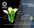 An evo-devo view of the gynoecium