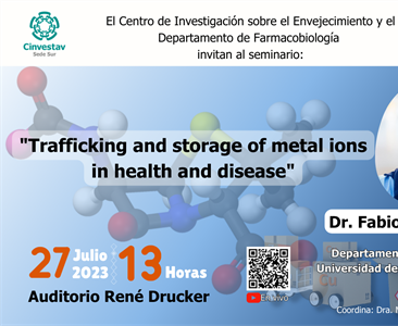 Trafficking and storage of metal ions in health and disease