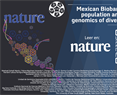 Mexican Biobank advances population and medical genomics of diverse ancestries