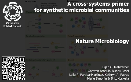 A cross-systems primer for synthetic microbial communities