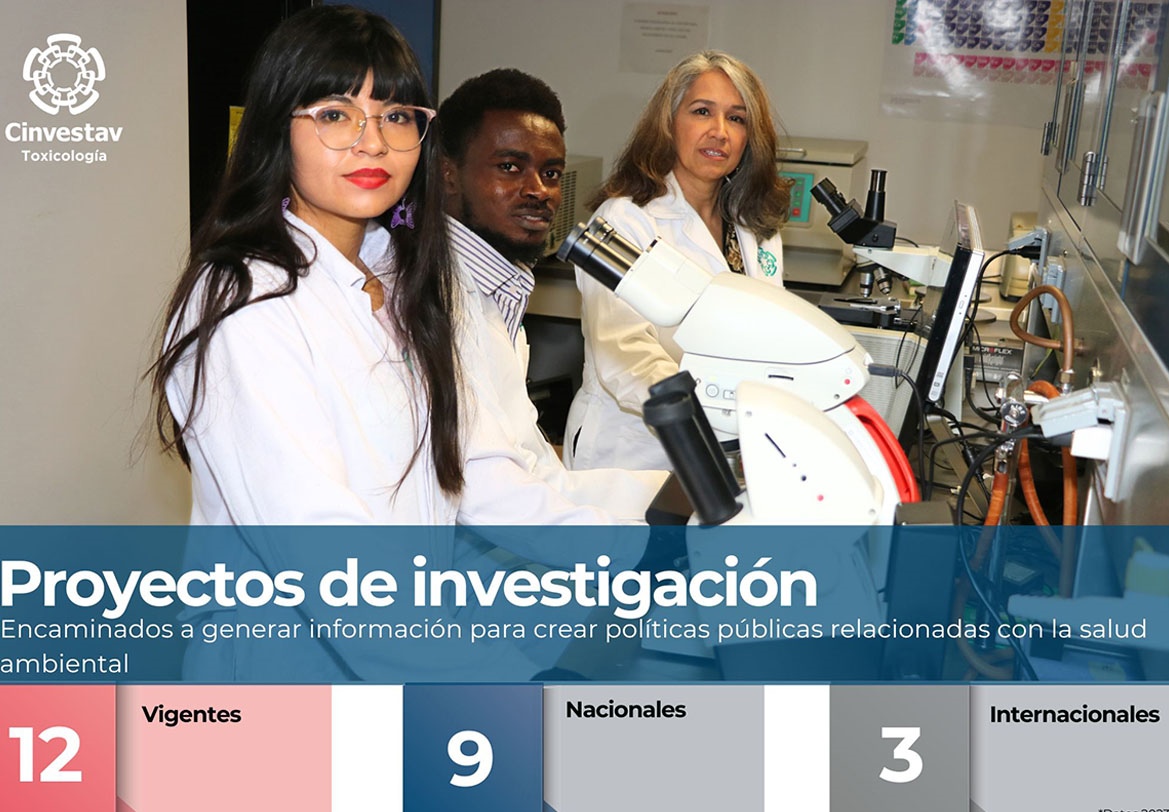 Proyectos de Investigación