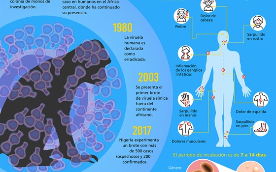 Evolución de la viruela símica a 2024