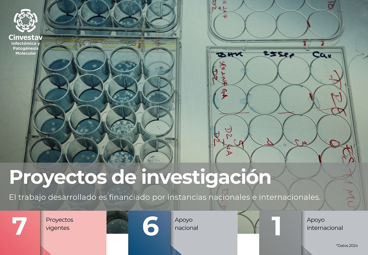 Indicadores-Proyectos de investigación