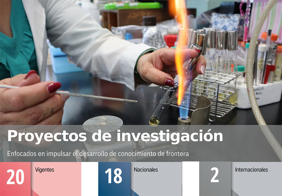 Indicadores - Proeyctos de invsestigacion