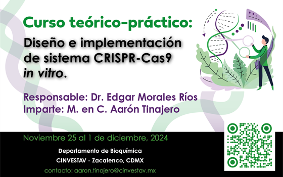 CRISPR-Cas9 in vitro