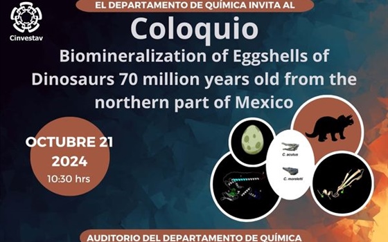 Coloquio  Biomineralization Of Eggshells of Dinosaurs 70 million year old from the northern part of Mexico